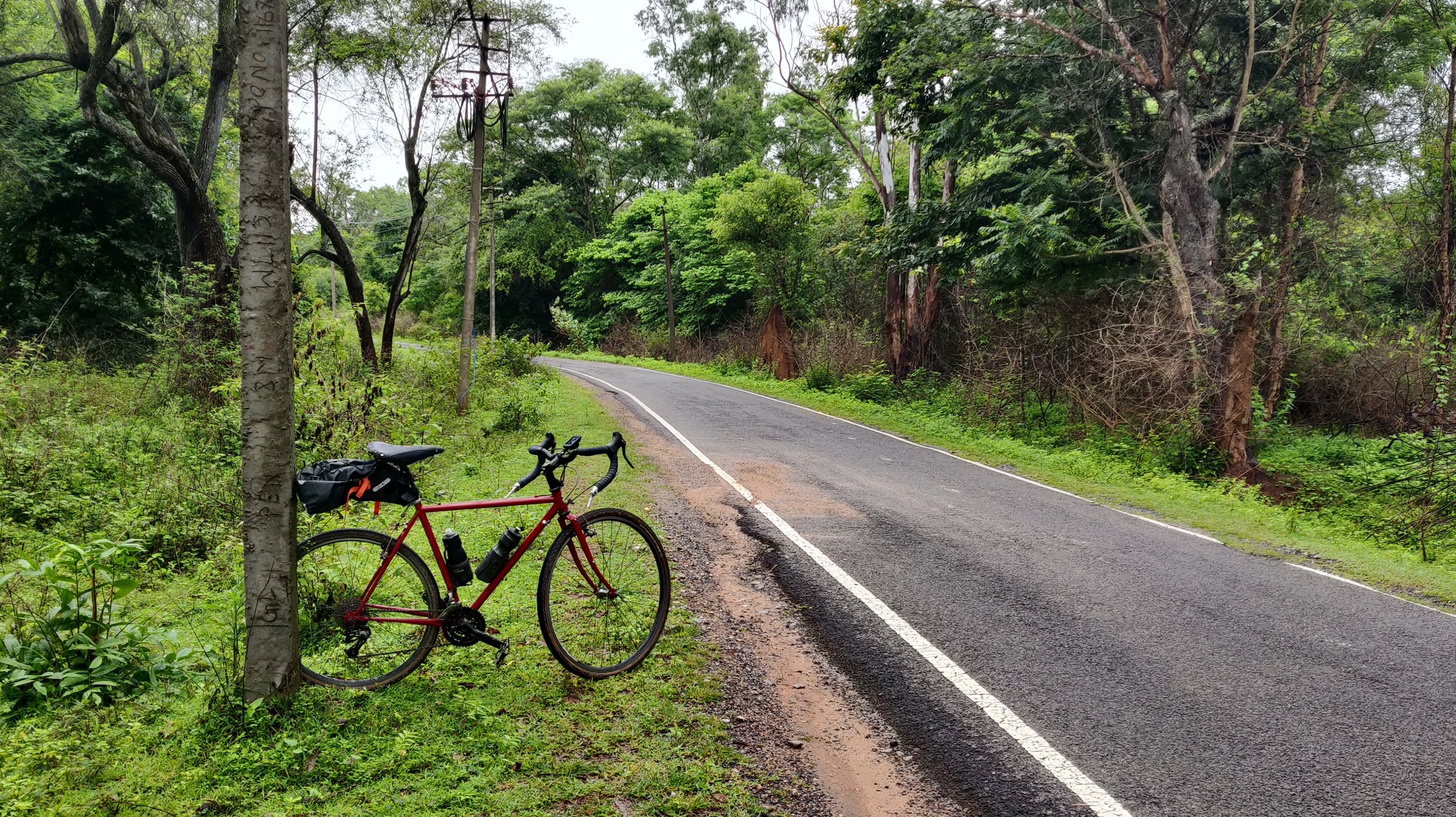 cycling-savanadurga-state-forest